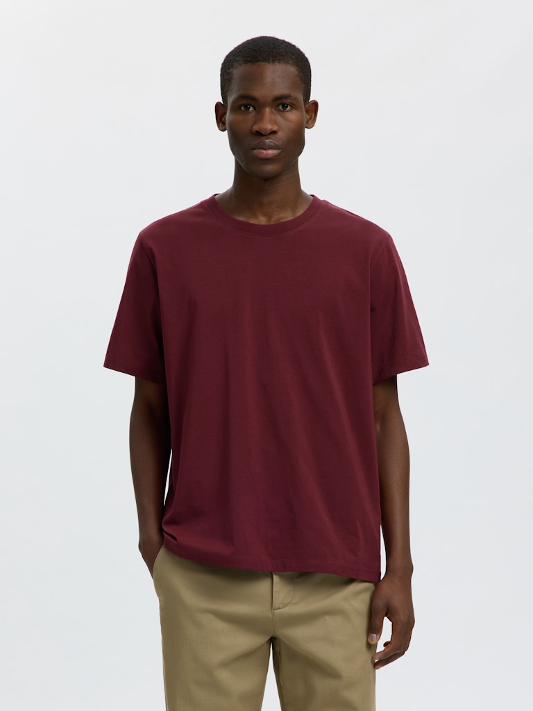 Slhaspen Ss O-Neck Tee Noos