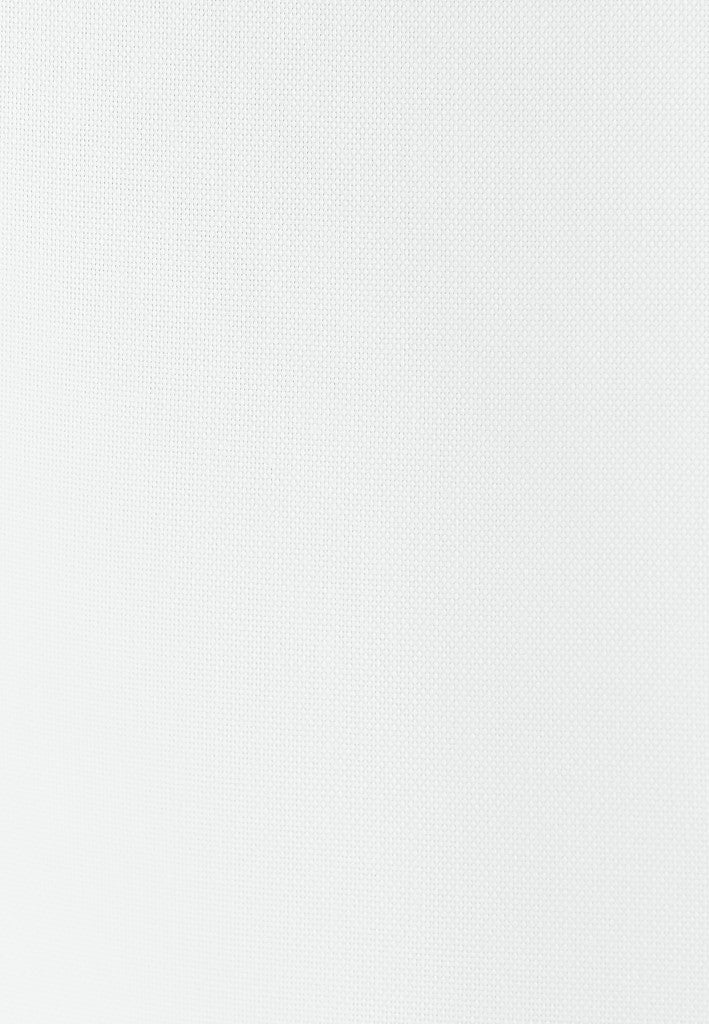 Seidensticker Shaped Fit Oxford Spread Kent Shirt