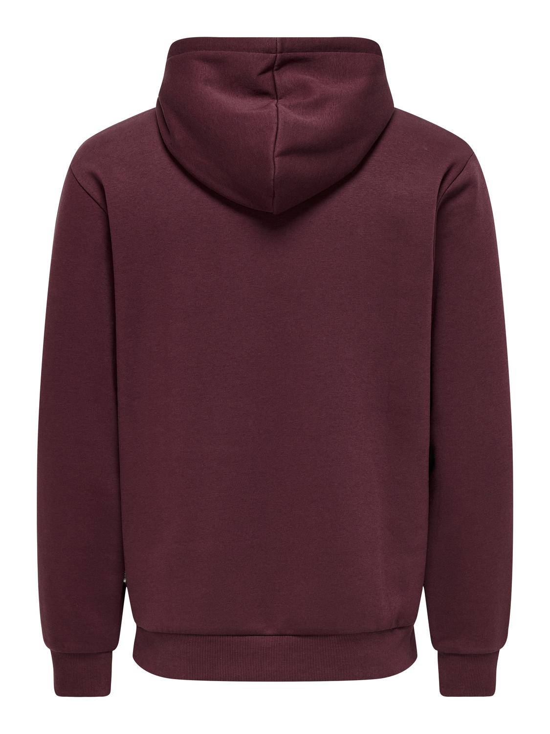 Onsceres Hoodie Sweat Noos