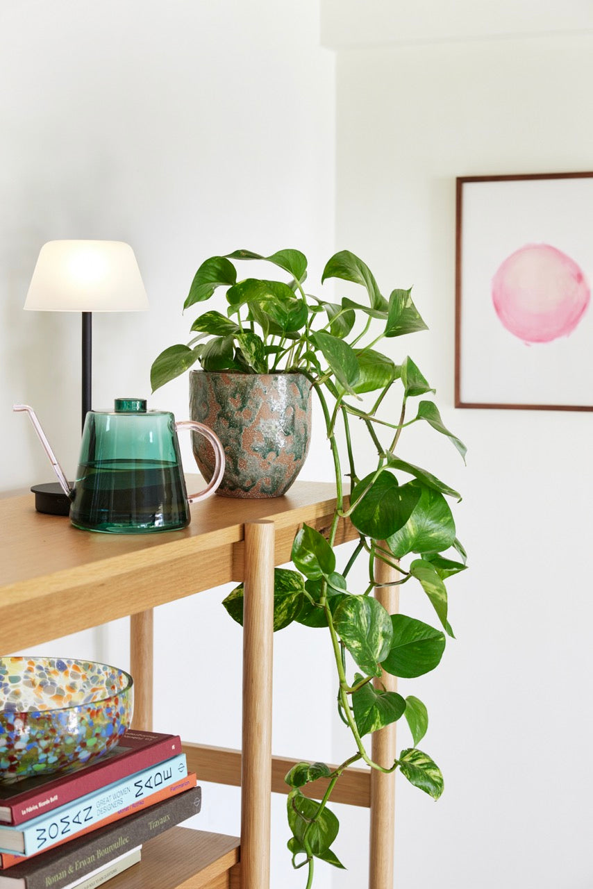 Salon Transportabel Lampe Sort